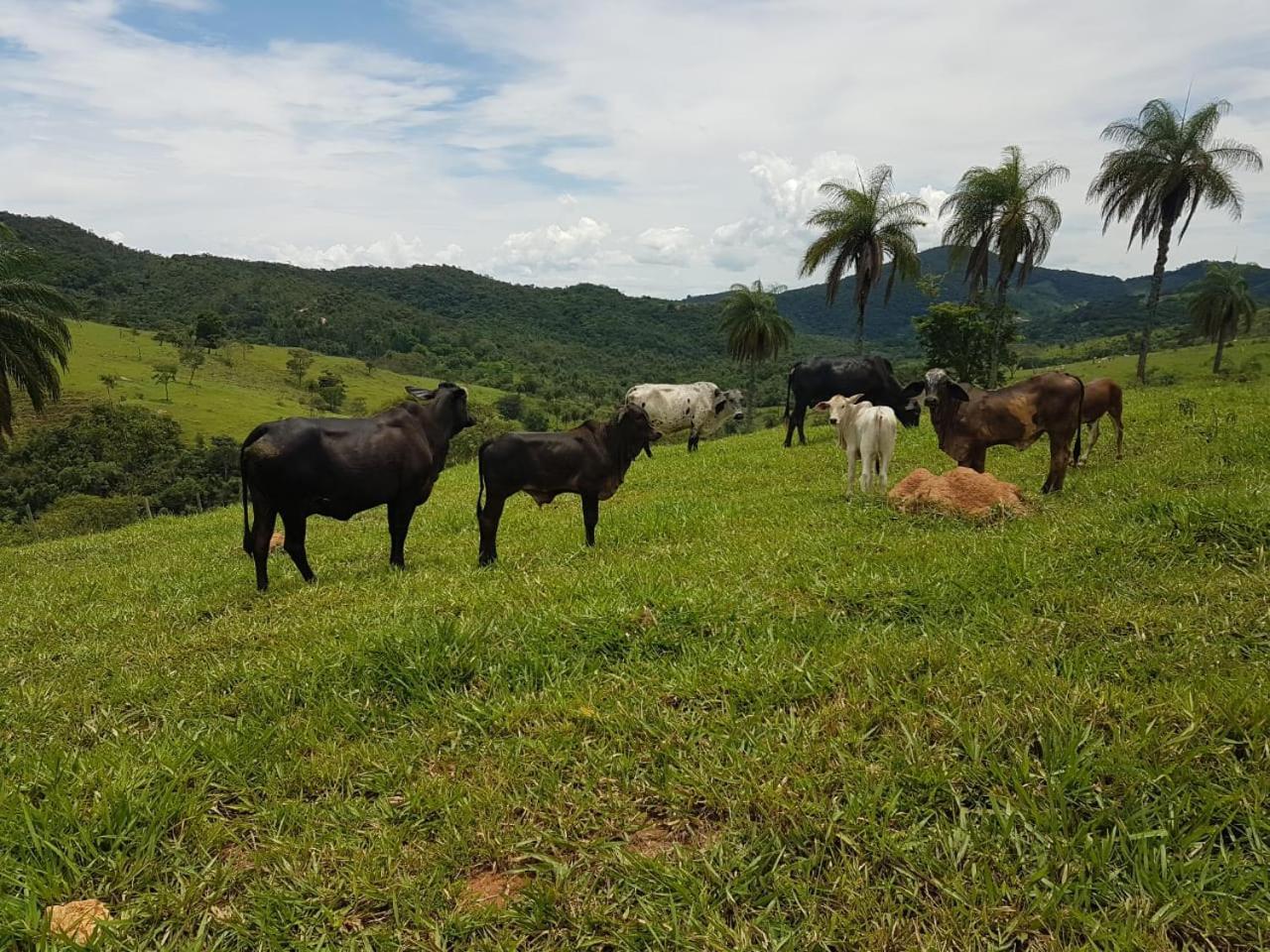 Pousada Rancho Flores Caeté Exterior foto